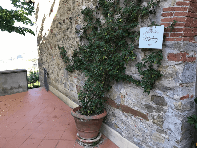 BorgoiVicelli46